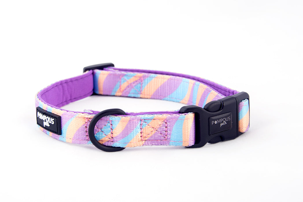 Lollipop Dog Collar Pompous Pets SA