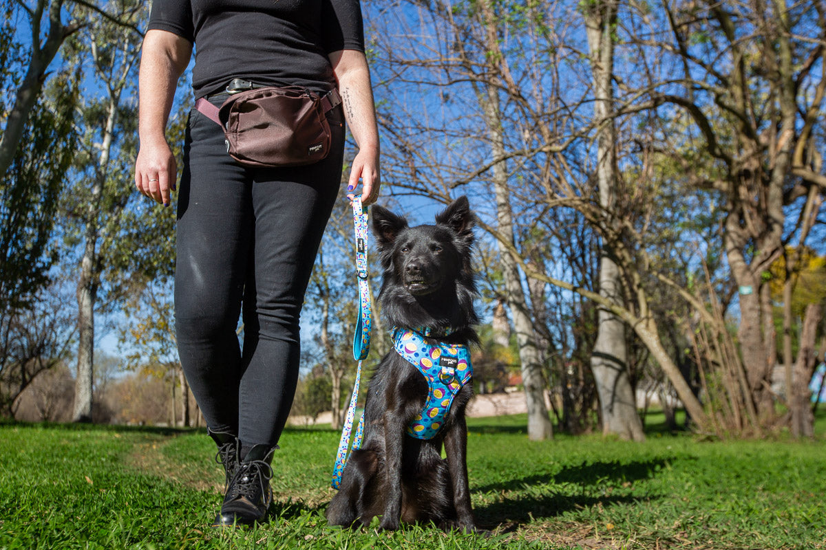 Berrydilla Adjustable Dog Harness