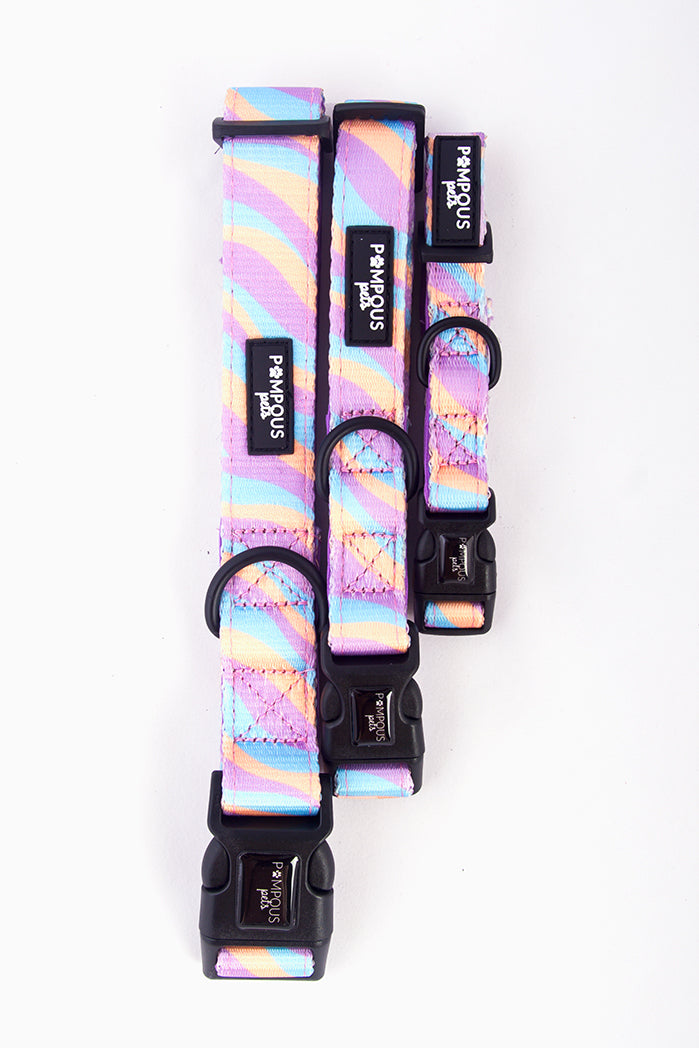 Iridescent deals dog collar