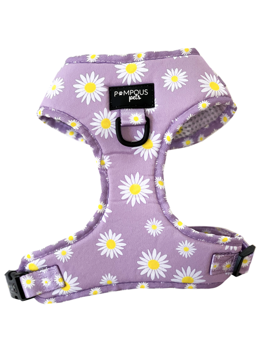 Daisies Harness